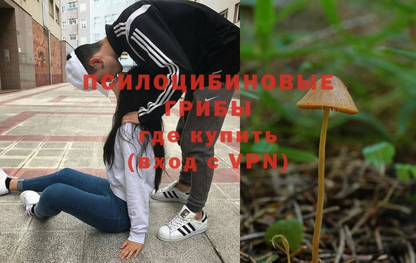 бошки Богородицк